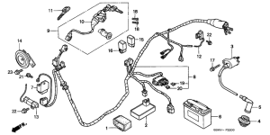 SFX50SMM Wire harness /  ignition coil / battery