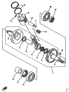 DT80 Ciguenal. pisttn