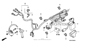  Жгут проводов