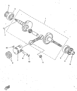 CY50R Ciguenal. pisttn