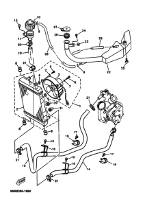 YP125E Радиатор и шланг