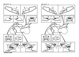 TZR250R ｸﾞﾗﾌｲﾂｸ. ｴﾝﾌﾞﾚﾑ