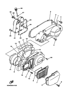 YP250 Crankcase cover ass`y  (v