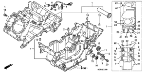 RVT1000R Картер двигателя