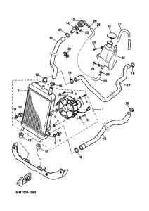 XQ125 Радиатор и шланг