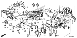 VT750CS (ABS) Жгут проводов