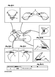 YZF-R1R ( RaceBase) Графический и фирменный знак