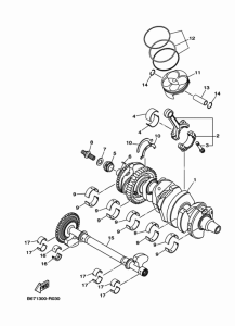 MTN1000 Crankshaft & piston