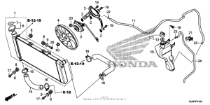 CTX1300 (ABS) Радиатор