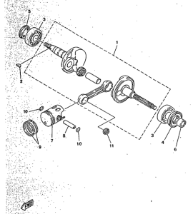CY50R Ciguenal. pisttn