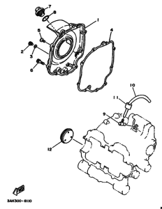 TZ250 Crankcase cover ass`y  (v