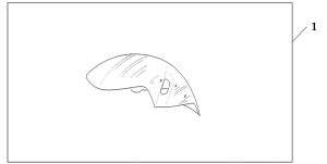 CB750F Chrome fr.fender