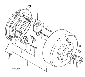 TS250 Зажигание