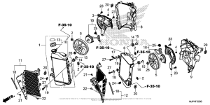 CRF1000D (ABS) Радиатор