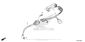 CRF50F Жгут проводов