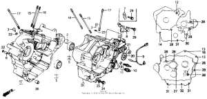 NT650 Картер двигателя