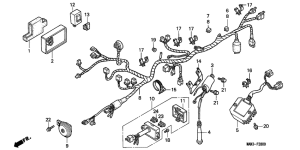 NX650 Wire harness /  ignition coil