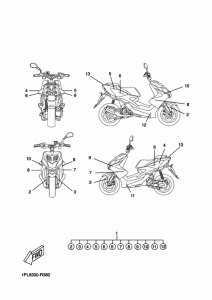 NS50N Graphic & emblem