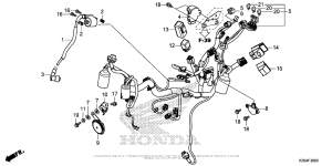 MSX125 Жгут проводов