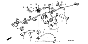 CB250 Жгут проводов