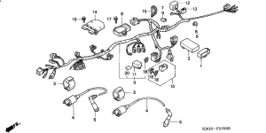 CB250 Wire harness /  ignition coil